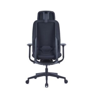 Ergonomic-Chairs1