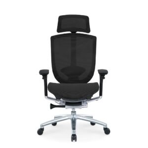 DRIN Mesh Ergonomic Chair