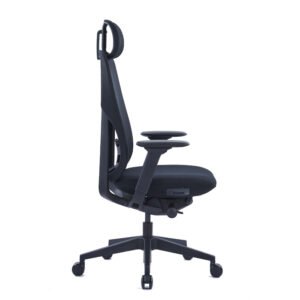 ERGO PLUS Black Ergonomics Chair