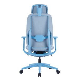 ERGO PLUS Blue Ergonomics Chair
