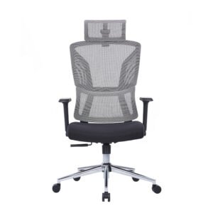 PHINIX Mesh Ergonomic Chair